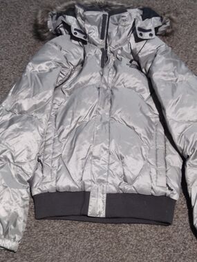 The North Face Metallic Silver Hooded Puffer Jacket